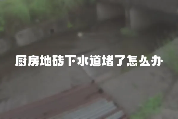 廚房地磚下水道堵了怎么辦