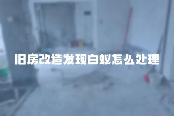 舊房改造發現白蟻怎么處理