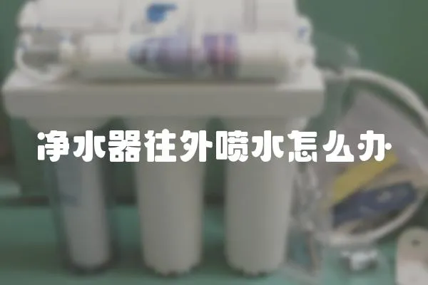 凈水器往外噴水怎么辦