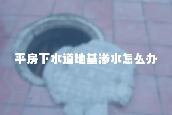 平房下水道地基滲水怎么辦