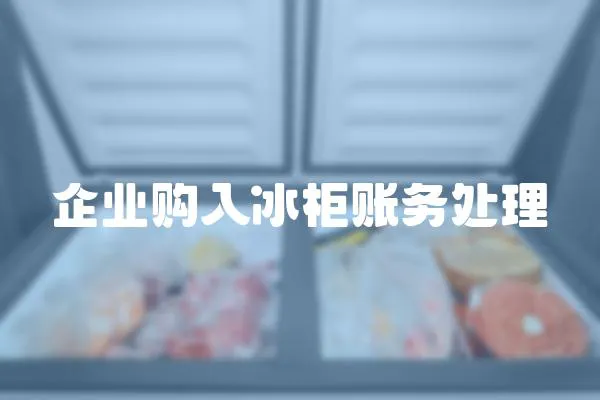 企業(yè)購入冰柜賬務(wù)處理