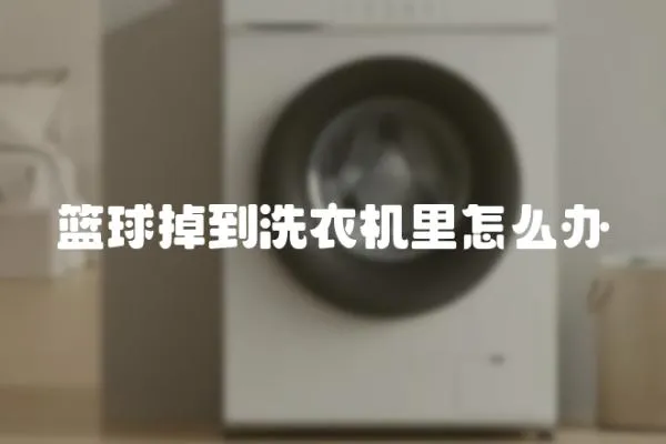 籃球掉到洗衣機(jī)里怎么辦
