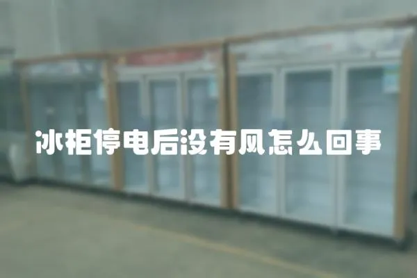 冰柜停電后沒有風怎么回事
