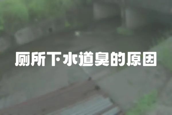 廁所下水道臭的原因