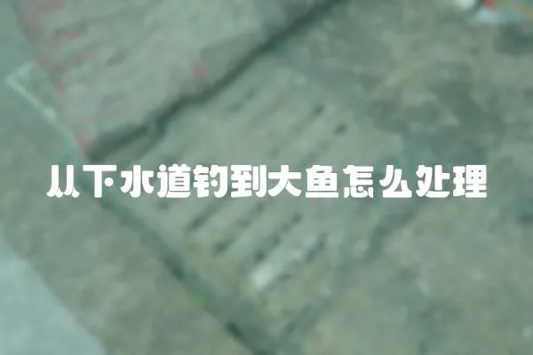 從下水道釣到大魚怎么處理