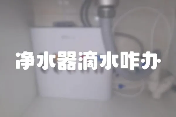 凈水器滴水咋辦