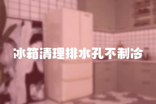 冰箱清理排水孔不制冷