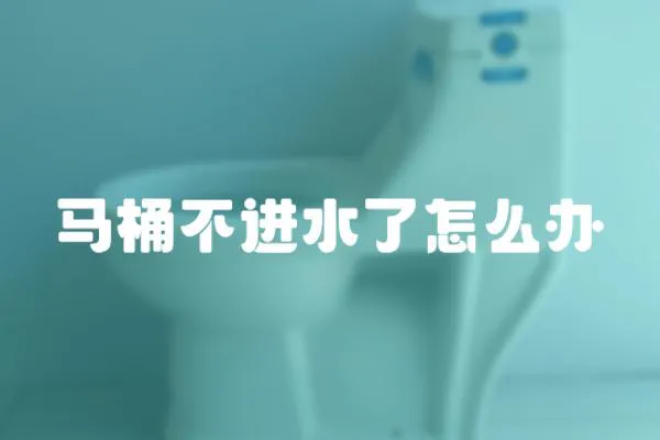 馬桶不進(jìn)水了怎么辦
