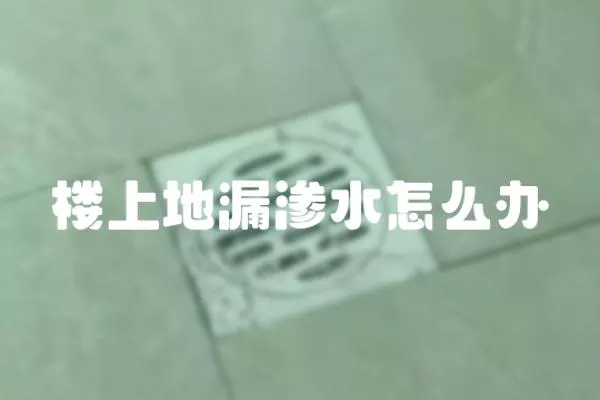 樓上地漏滲水怎么辦