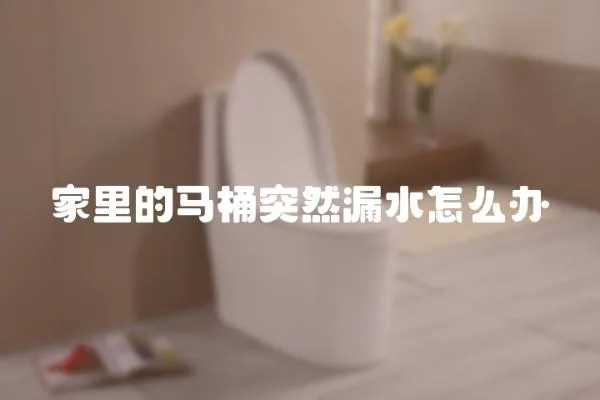 家里的馬桶突然漏水怎么辦