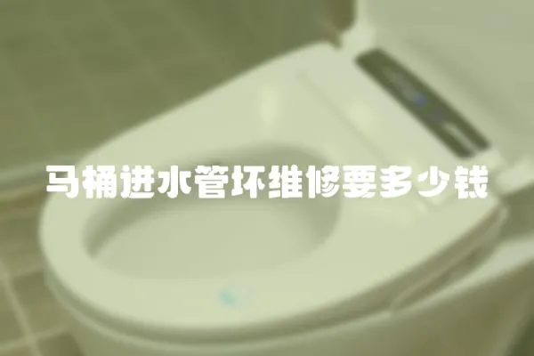 馬桶進水管壞維修要多少錢