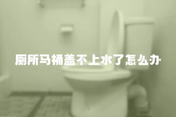 廁所馬桶蓋不上水了怎么辦