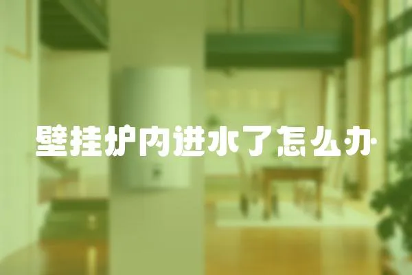 壁掛爐內進水了怎么辦