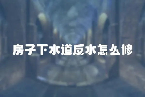 房子下水道反水怎么修
