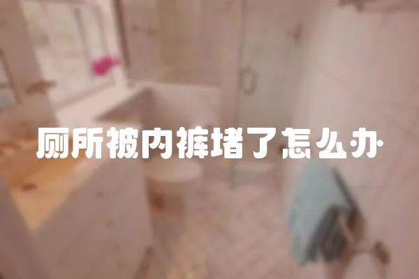 廁所被內褲堵了怎么辦