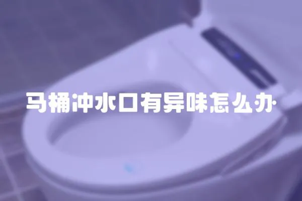 馬桶沖水口有異味怎么辦