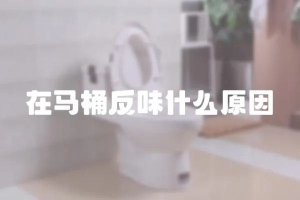 在馬桶反味什么原因