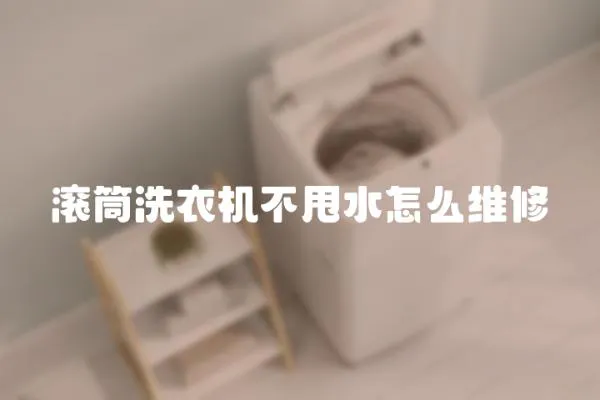 滾筒洗衣機不甩水怎么維修