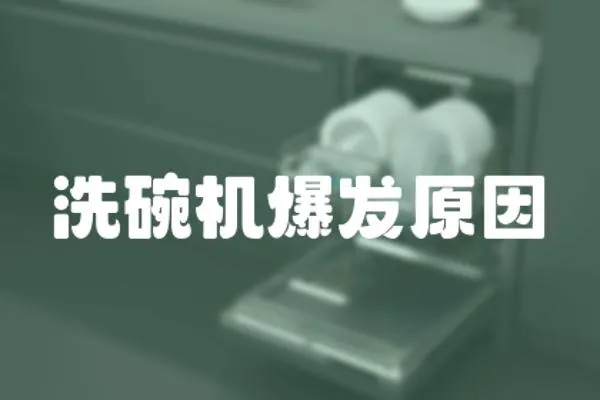 洗碗機爆發原因