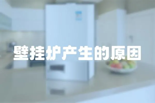 壁掛爐產(chǎn)生的原因