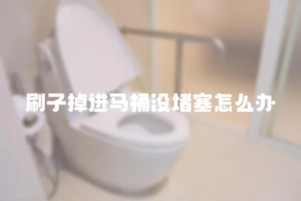 刷子掉進馬桶沒堵塞怎么辦