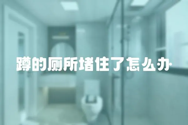 蹲的廁所堵住了怎么辦