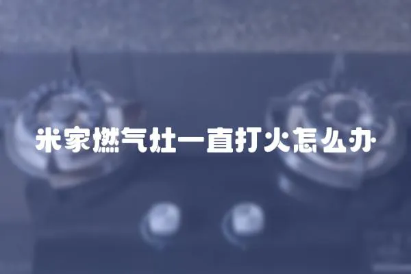 米家燃氣灶一直打火怎么辦