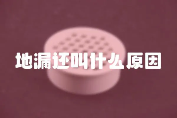 地漏還叫什么原因