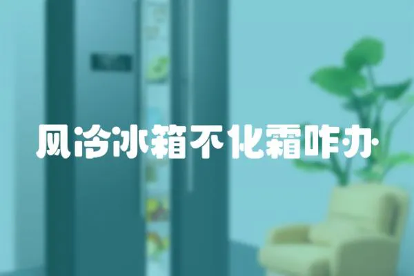 風(fēng)冷冰箱不化霜咋辦
