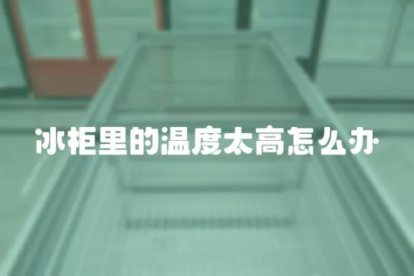 冰柜里的溫度太高怎么辦