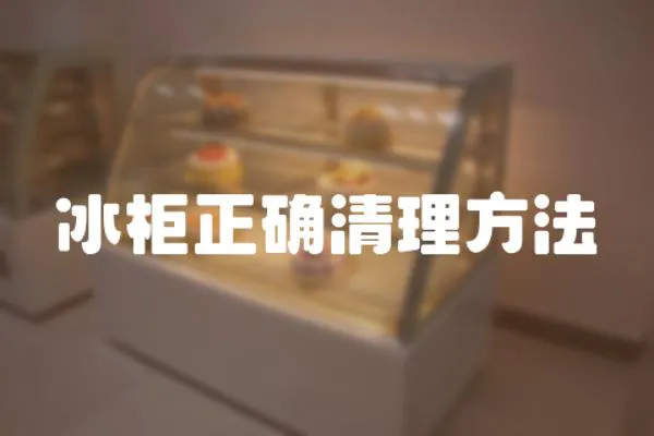 冰柜正確清理方法