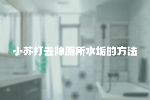 小蘇打去除廁所水垢的方法