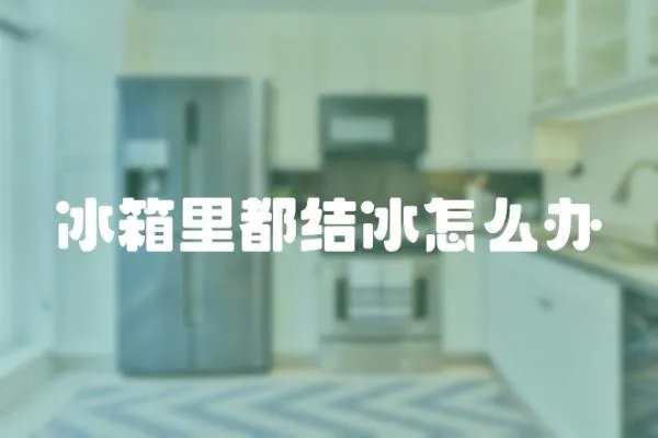 冰箱里都結冰怎么辦