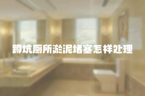 蹲坑廁所淤泥堵塞怎樣處理