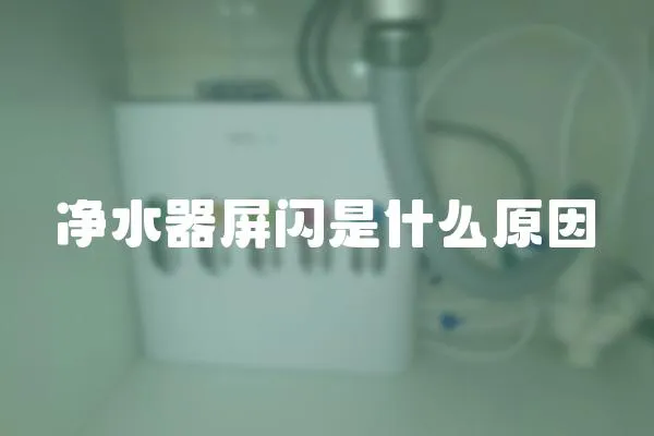 凈水器屏閃是什么原因