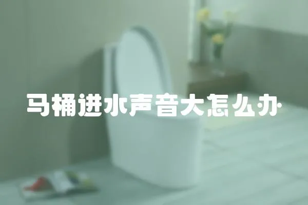 馬桶進水聲音大怎么辦