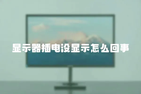 顯示器插電沒顯示怎么回事