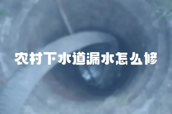 農村下水道漏水怎么修