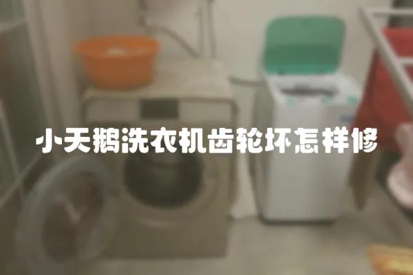 小天鵝洗衣機齒輪壞怎樣修