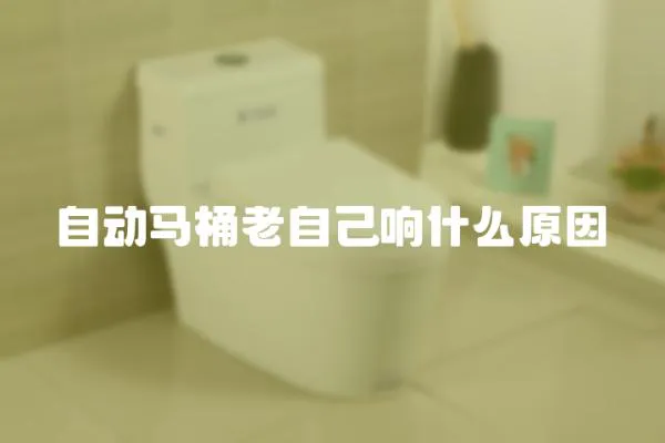 自動馬桶老自己響什么原因