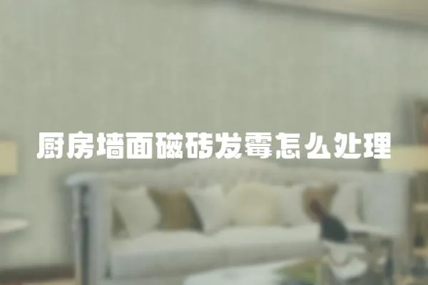 廚房墻面磁磚發霉怎么處理