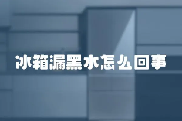 冰箱漏黑水怎么回事