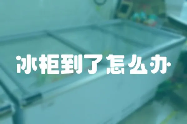 冰柜到了怎么辦