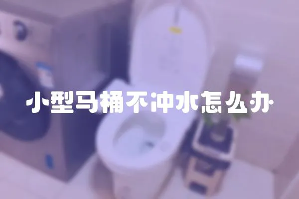 小型馬桶不沖水怎么辦