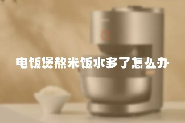 電飯煲熬米飯水多了怎么辦
