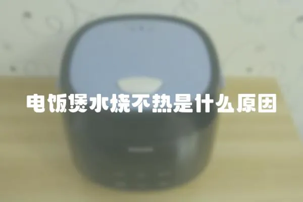 電飯煲水燒不熱是什么原因