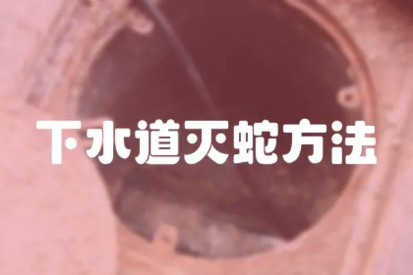 下水道滅蛇方法