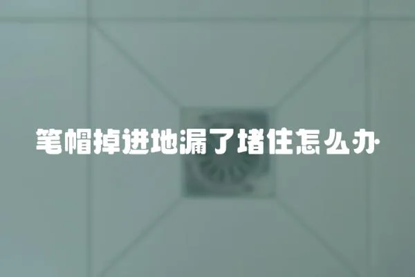 筆帽掉進地漏了堵住怎么辦
