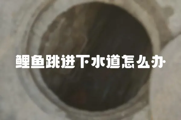 鯉魚跳進下水道怎么辦