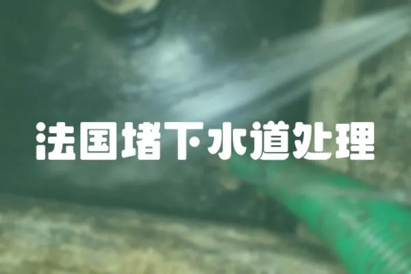 法國堵下水道處理